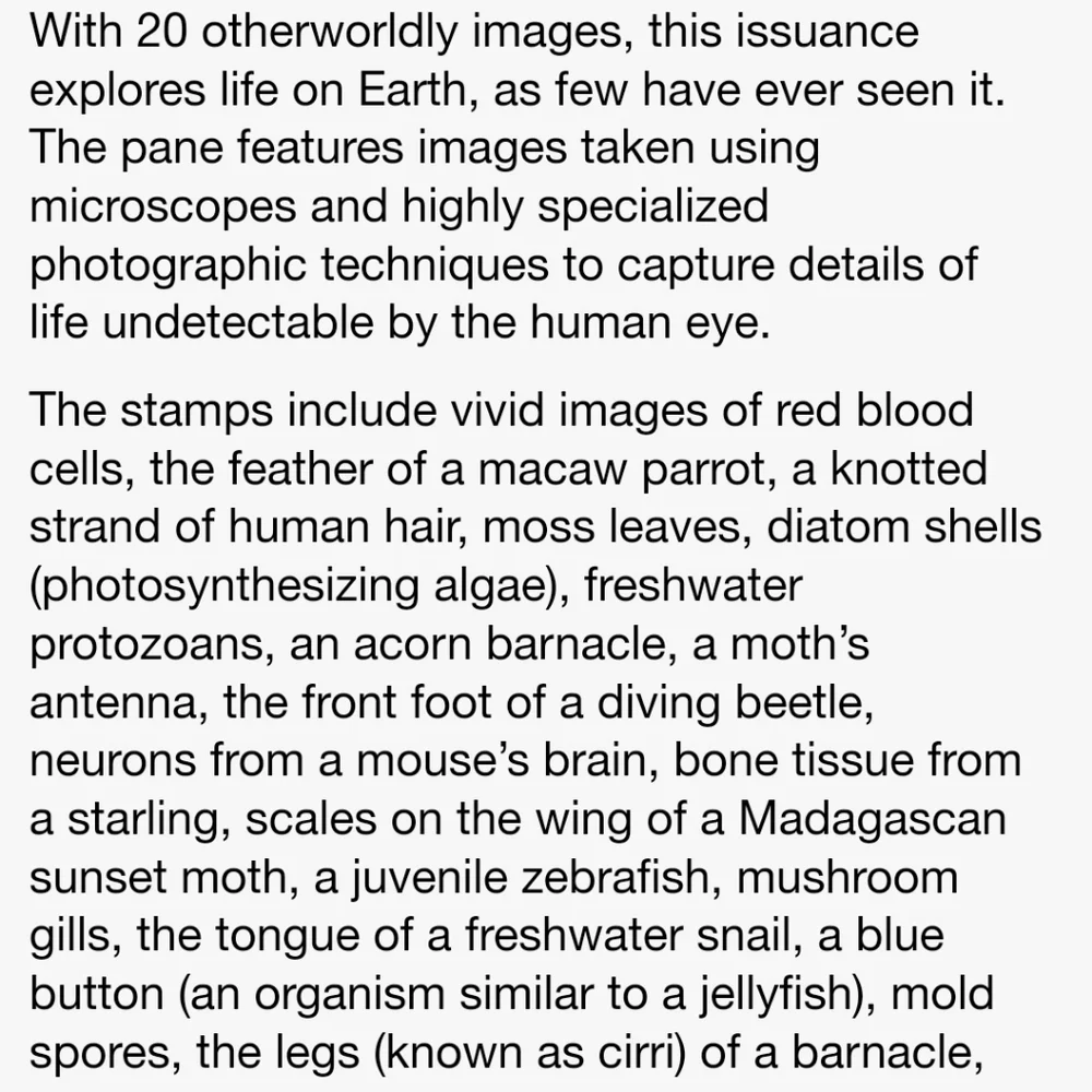 100 Life Magnified 2023 Forever Postage Stamps US Postal USPS Wedding Invitation